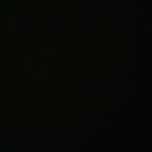 Meet your Posher, Savannah